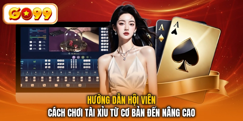 Hướng dẫn hội viên cách chơi tài xỉu từ cơ bản đến nâng cao